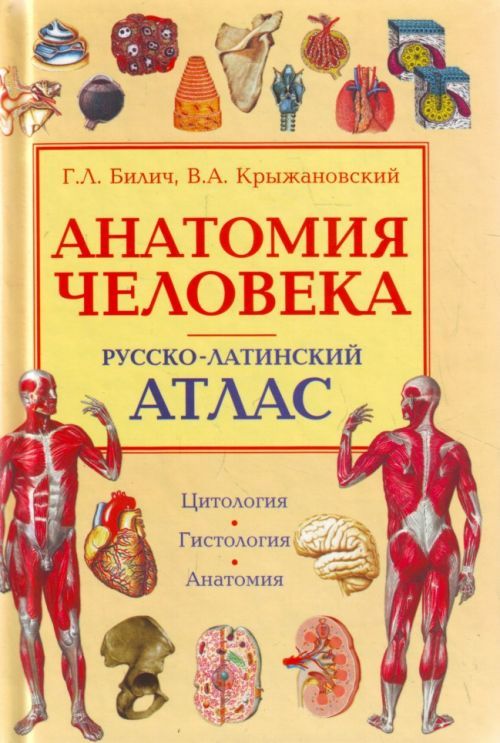 Атлас по анатомии самусев скачать бесплатно pdf