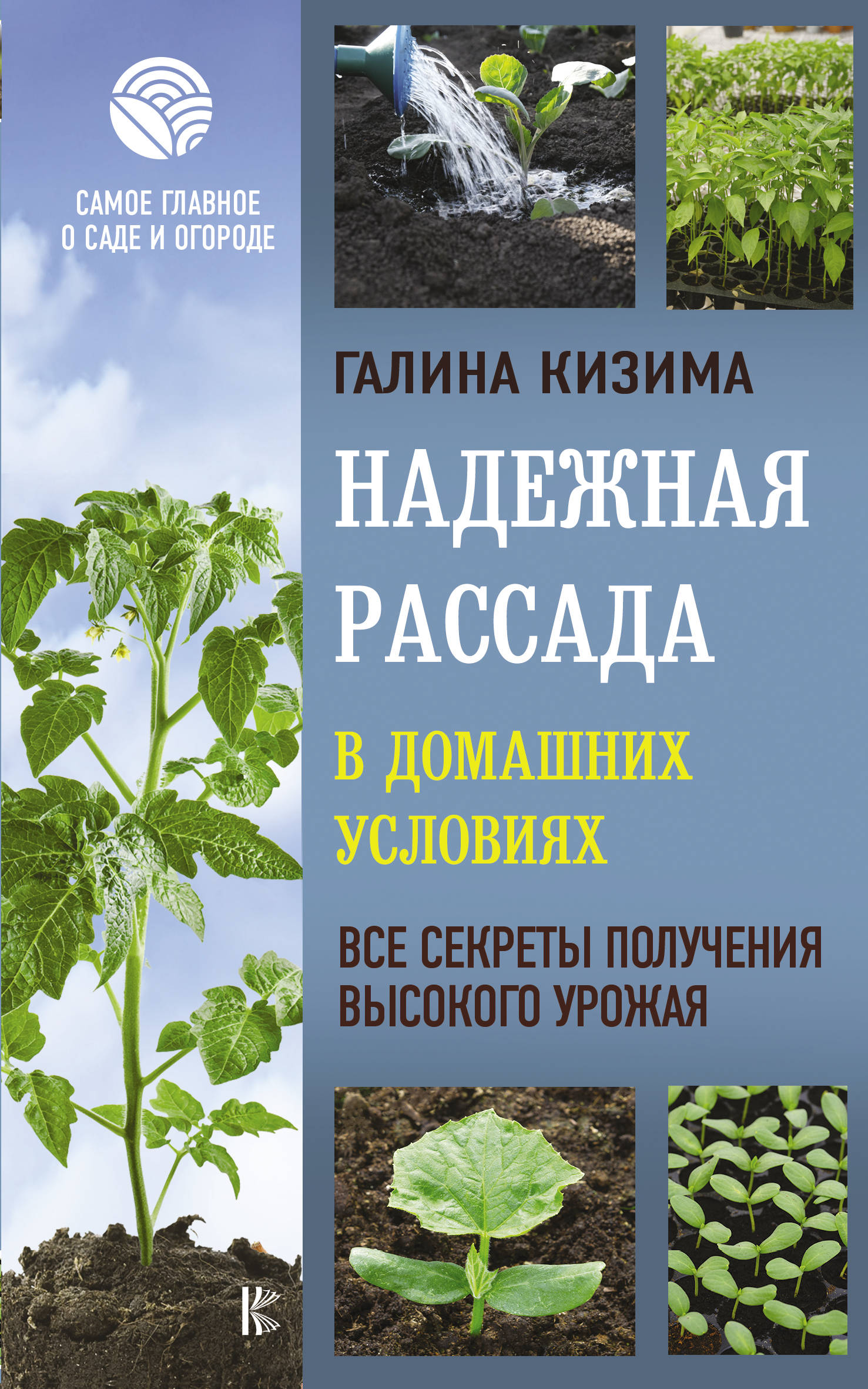 Рассада В Домашних Условиях Фото